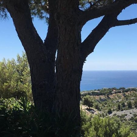 Magnifique Studio Cassis Luaran gambar
