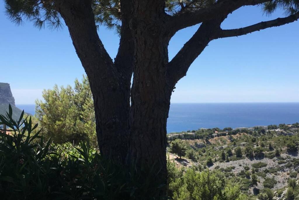 Magnifique Studio Cassis Luaran gambar