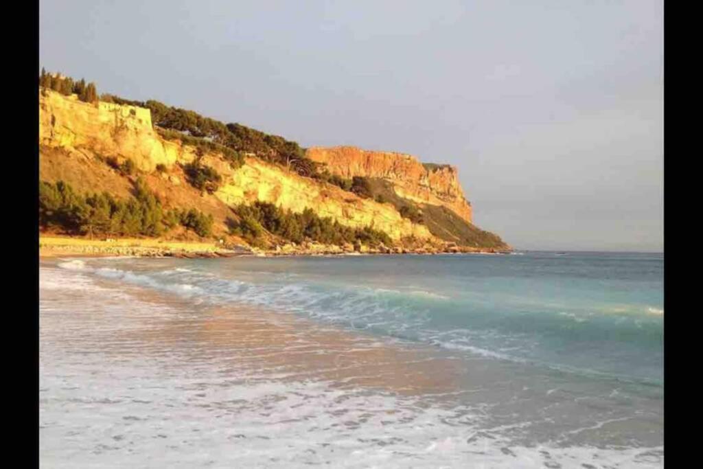 Magnifique Studio Cassis Luaran gambar